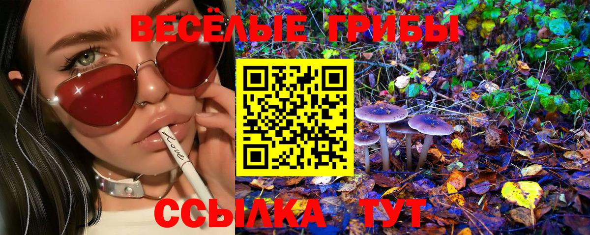 Галлюциногенные грибы Cubensis  Псилоцибиновые грибы прущие грибы  Знаменск  Вход с VPN 